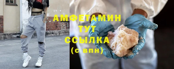 гидра Каменногорск