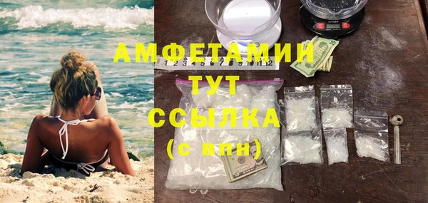 шишки Инсар