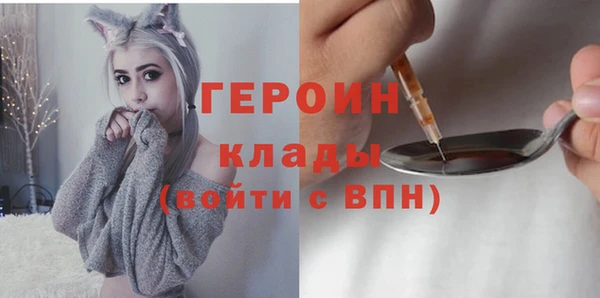 гидра Каменногорск