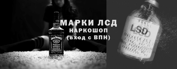 гидра Каменногорск