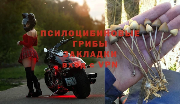 гидра Каменногорск