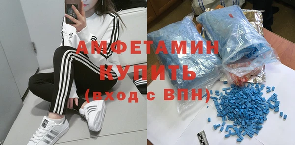 шишки Инсар